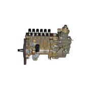IP PP6M10P1F-3493