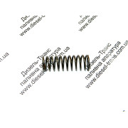 Regulator Spring 32098269 (CV 08007-99)
